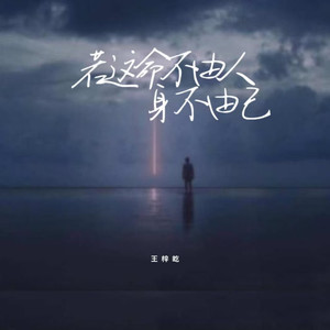 若这命不由人身不由己 (伴奏)