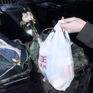 我想出门但它却下雨了