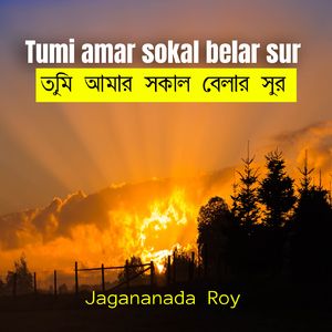 Tumi amar sokal belar sur