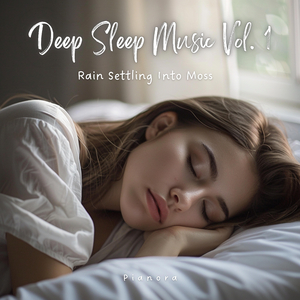 Ancient Trees and Falling Light