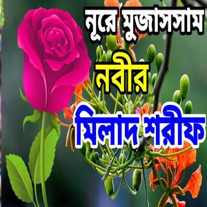 নূরে মুজাসসাম পেয়ারা নবী। মিলাদ শরীফ। Milad sharif Modina gojol tv