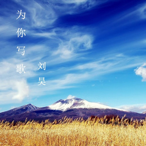 为你写歌
