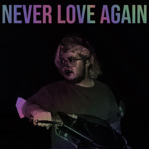Never Love Again