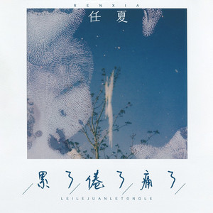 累了倦了痛了 (DJ武圣雄版)