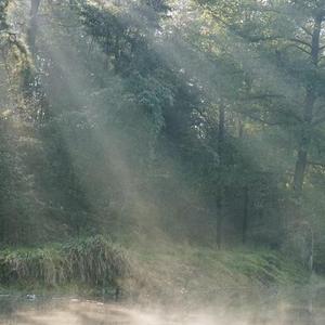 这一生关于你的风景