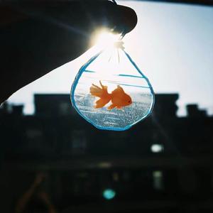 郭源潮（女生版）