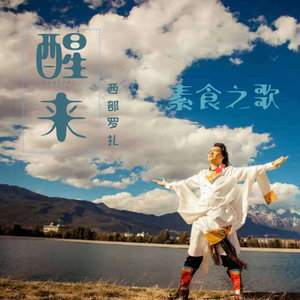 醒来一一素食之歌 (DJ沈念)
