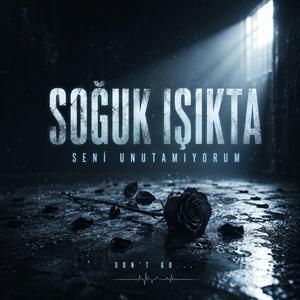 Soğuk Işıkta
