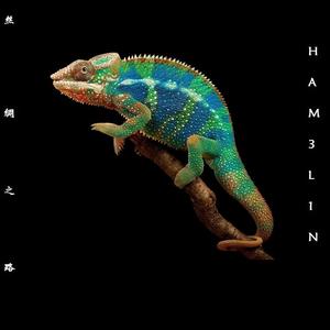 黑死病（Plague）