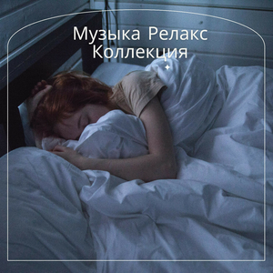 Городская ночь ритма