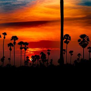 真假（AR 94 Wu-Tang）