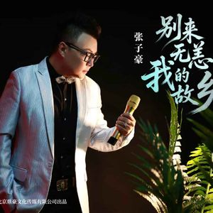 别来无恙我的故乡（伴奏）