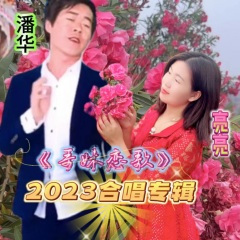 一夜相思万滴泪