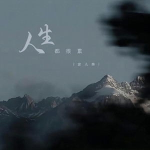 人生都很累 (DJ彭锐版)