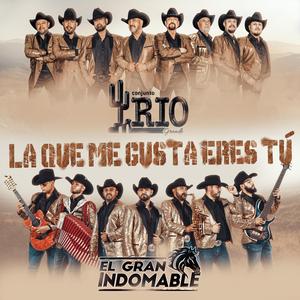 La Que Me Gusta Eres Tu (feat. Conjunto Rio Grande)
