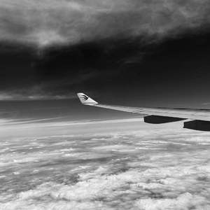 舔狗清除计划 0.1