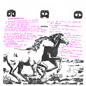 Urutau (Mãe da Lua)