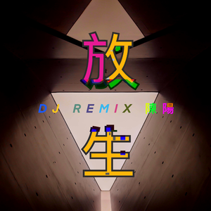 陈阳-放生（DJ版）