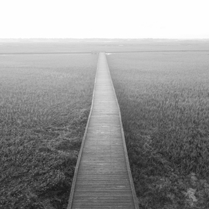 You've Been On My Mind