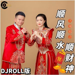 顺风顺水顺财神 (DJ版伴奏)