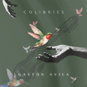 Colibríes 2