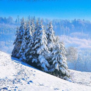 Romance No 2 (feat. Polina Chornaya)