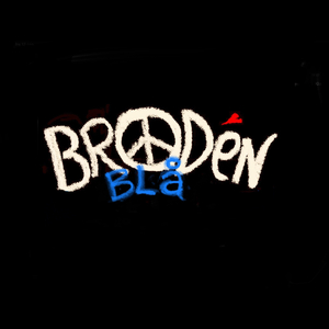Bluesens politik