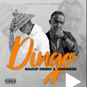 Dingo (feat. Raouf Denio)