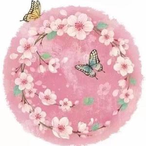 西厢夜琴月心幽人闽南语版