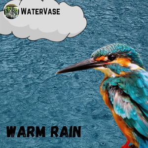 Warm Rain