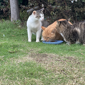 忠孝东路走9遍（cover： Power Station）