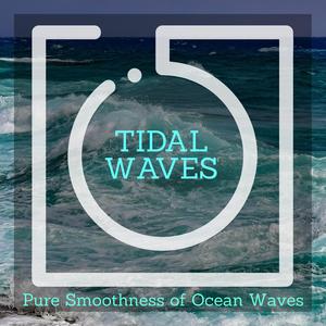 Morning Birds and Mountain Water Sound