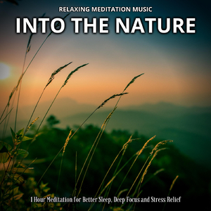 Starry Night on the Prairie