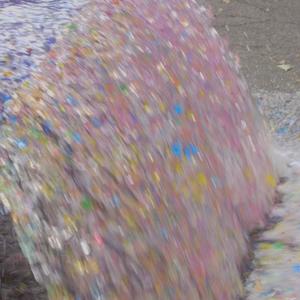 Emotional Support Peacock