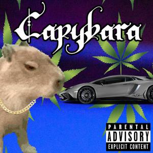 Capybara