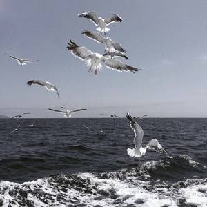 「Free」‘heartbreak’ Juice WRLD type beat