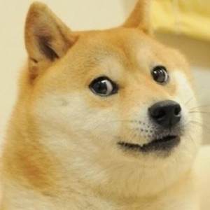 What Doge