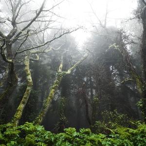 往后余生(翻自马良)