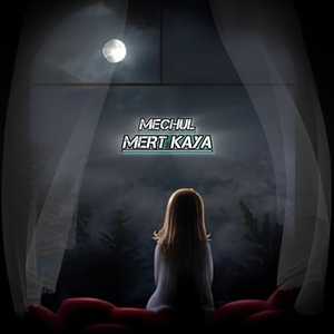 Mechul