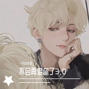 不会再爱你了3.0