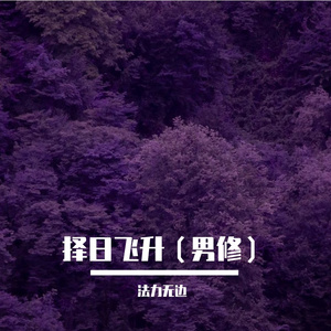 择日飞升