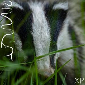 Sunsetting (Remastered)