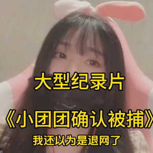 大型纪录片《一条小团团确认被捕》