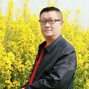 草原的雄鹰 伴奏