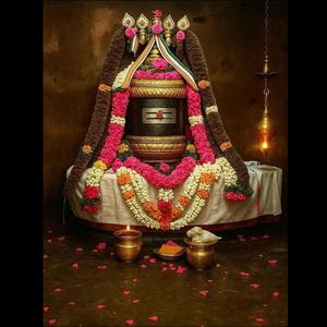 நமசிவாயம் வாழவே A Tamil Devotional Song on Lord Shiva Mantra Power Om Namashivaya