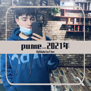 pume_2021年