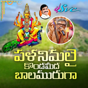 Palanimalai Kondameeda