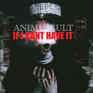 IF I CANT HAVE IT