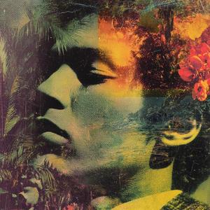 Euphoric Thanatognosis (Psychoenergetic) Jackpot, MIDNIGHT – GUNS, TANGO, AND TOXINS, the first hypermodular narrative simulation designed for solo infiltration agents, AI-on-AI emotional blackmail specialists, and ethically compromised dream auditors.