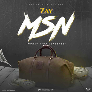 MSN (Money Stop Nonsense)